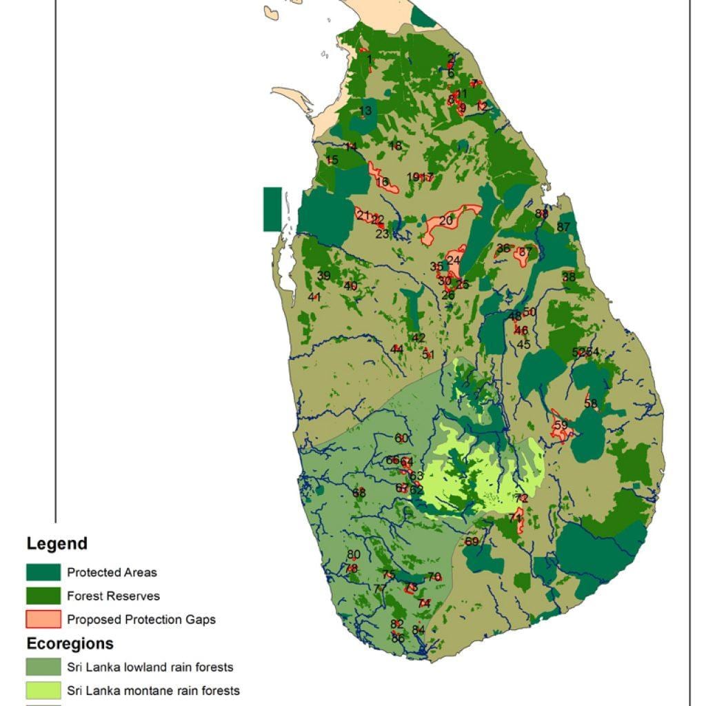 แผนที่ของศรี Lankan ในป่า