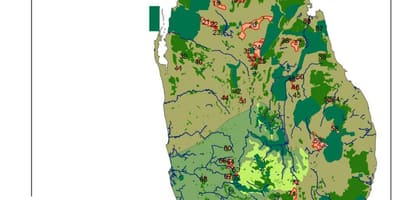 แผนที่ของศรี Lankan ในป่า